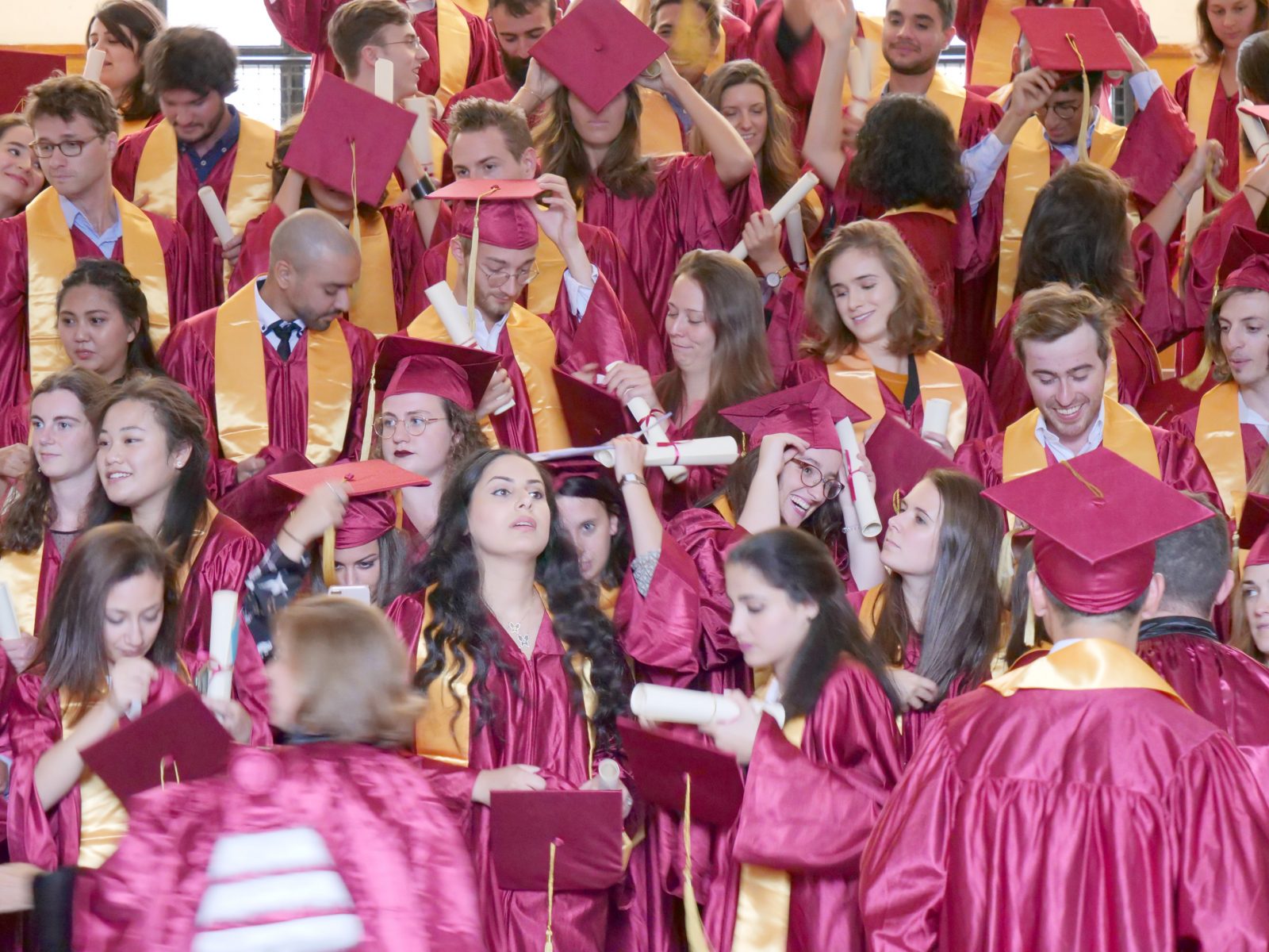 Two master’s programs to cover a broader field in 2025 Master BME